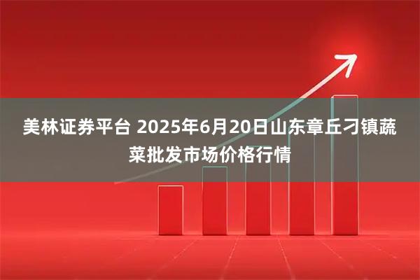 美林证券平台 2025年6月20日山东章丘刁镇蔬菜批发市场价格行情